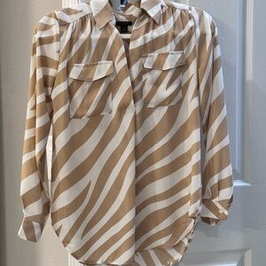 Ann Taylor Dress Shirt
